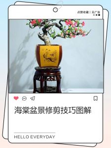 花卉苗木整形修剪技_修剪树木，美化健康，兼顾城市需求