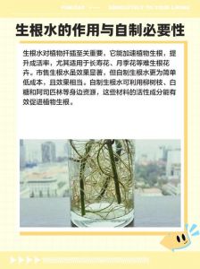 自己在家怎么制作花草生根水_自制生根水，省钱促生根！