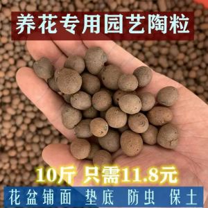 花盆陶粒多久更换_常用陶粒养花好，6个月换一次，底部铺15厚